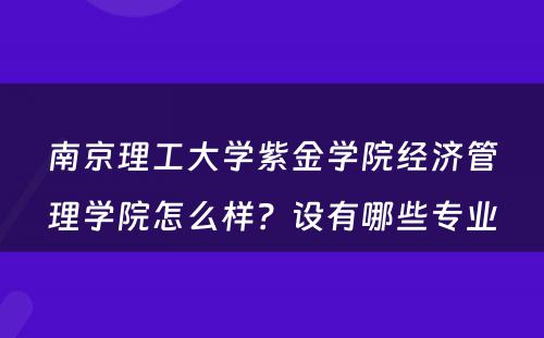 南京理工大学紫金学院经济管理学院怎么样？设有哪些专业