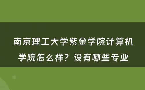 南京理工大学紫金学院计算机学院怎么样？设有哪些专业