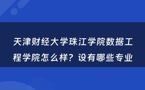 天津财经大学珠江学院数据工程学院怎么样？设有哪些专业