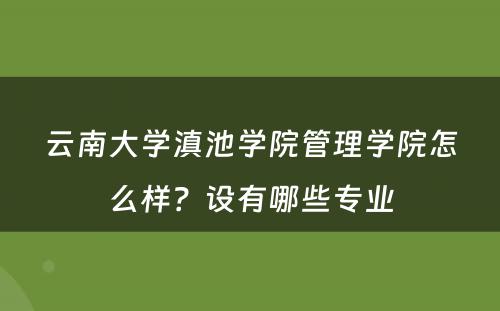 云南大学滇池学院管理学院怎么样？设有哪些专业