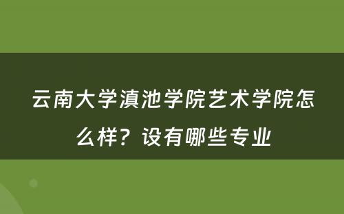 云南大学滇池学院艺术学院怎么样？设有哪些专业