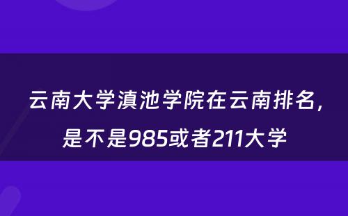 云南大学滇池学院在云南排名，是不是985或者211大学