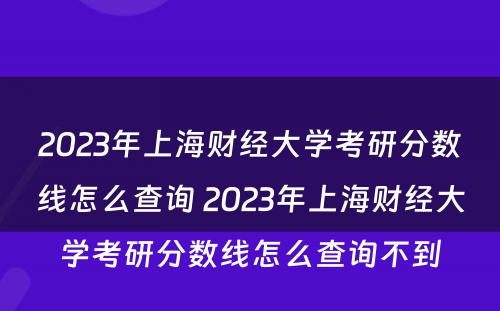 2023年上海财经大学考研分数线怎么查询 2023年上海财经大学考研分数线怎么查询不到