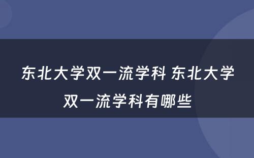 东北大学双一流学科 东北大学双一流学科有哪些