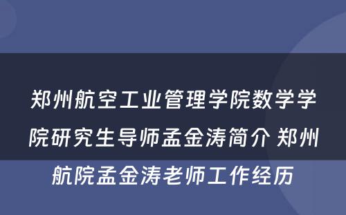 郑州航空工业管理学院数学学院研究生导师孟金涛简介 郑州航院孟金涛老师工作经历
