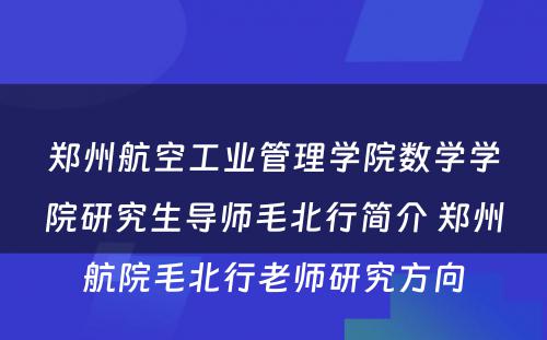 郑州航空工业管理学院数学学院研究生导师毛北行简介 郑州航院毛北行老师研究方向