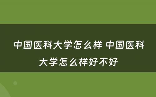 中国医科大学怎么样 中国医科大学怎么样好不好