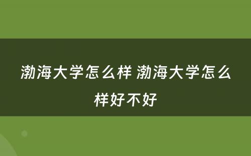 渤海大学怎么样 渤海大学怎么样好不好