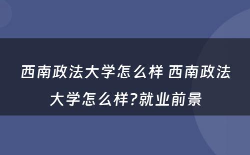 西南政法大学怎么样 西南政法大学怎么样?就业前景