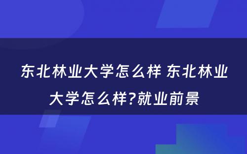 东北林业大学怎么样 东北林业大学怎么样?就业前景