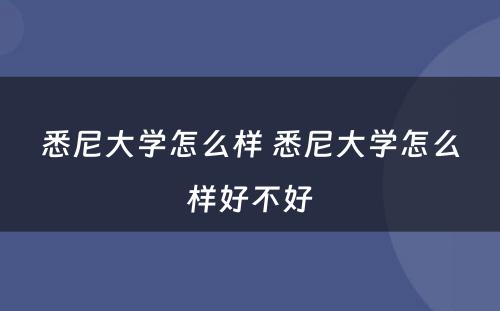 悉尼大学怎么样 悉尼大学怎么样好不好