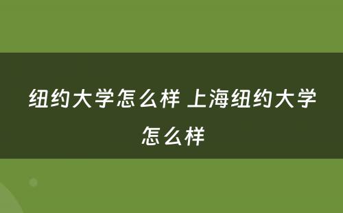 纽约大学怎么样 上海纽约大学怎么样