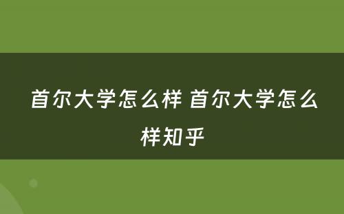 首尔大学怎么样 首尔大学怎么样知乎