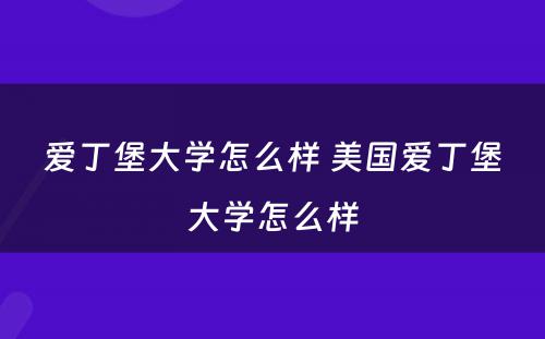 爱丁堡大学怎么样 美国爱丁堡大学怎么样