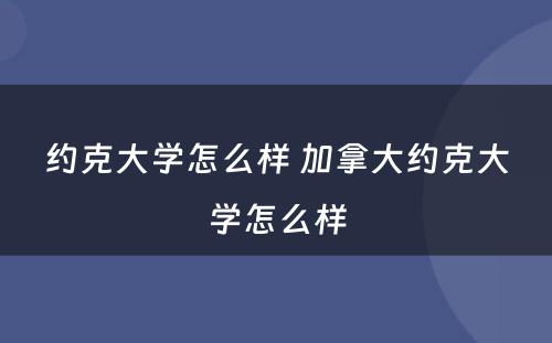 约克大学怎么样 加拿大约克大学怎么样