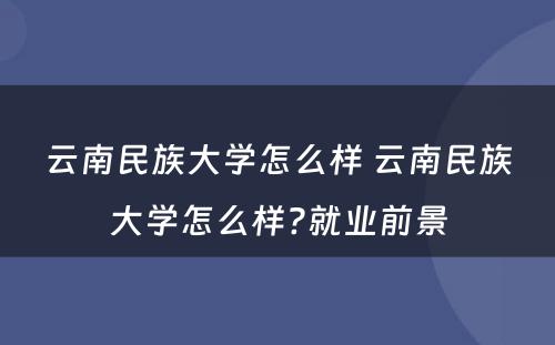 云南民族大学怎么样 云南民族大学怎么样?就业前景