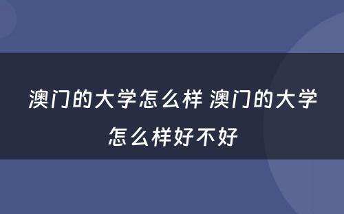 澳门的大学怎么样 澳门的大学怎么样好不好