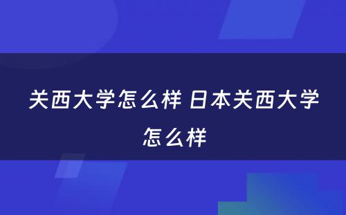 关西大学怎么样 日本关西大学怎么样