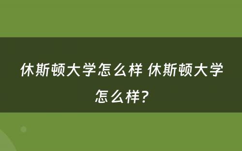 休斯顿大学怎么样 休斯顿大学怎么样?