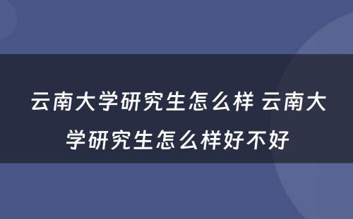 云南大学研究生怎么样 云南大学研究生怎么样好不好