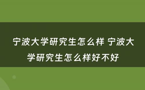 宁波大学研究生怎么样 宁波大学研究生怎么样好不好