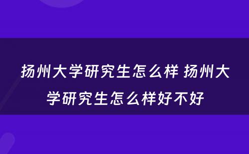 扬州大学研究生怎么样 扬州大学研究生怎么样好不好
