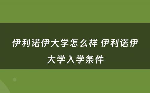 伊利诺伊大学怎么样 伊利诺伊大学入学条件