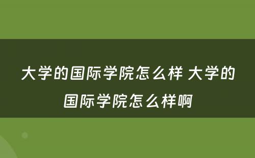 大学的国际学院怎么样 大学的国际学院怎么样啊