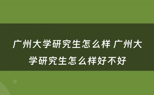 广州大学研究生怎么样 广州大学研究生怎么样好不好