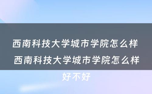 西南科技大学城市学院怎么样 西南科技大学城市学院怎么样好不好