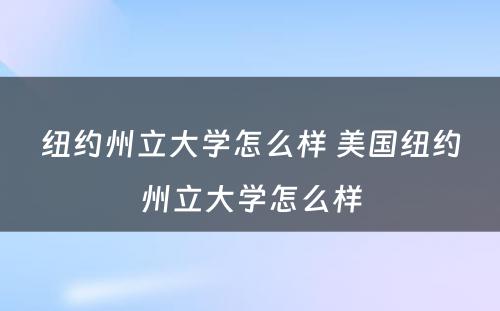 纽约州立大学怎么样 美国纽约州立大学怎么样