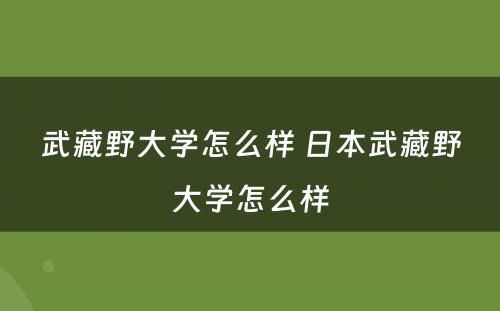 武藏野大学怎么样 日本武藏野大学怎么样