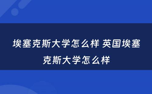 埃塞克斯大学怎么样 英国埃塞克斯大学怎么样