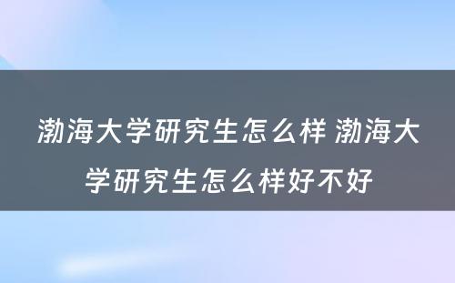 渤海大学研究生怎么样 渤海大学研究生怎么样好不好