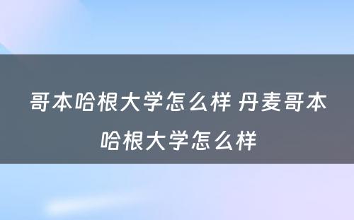 哥本哈根大学怎么样 丹麦哥本哈根大学怎么样