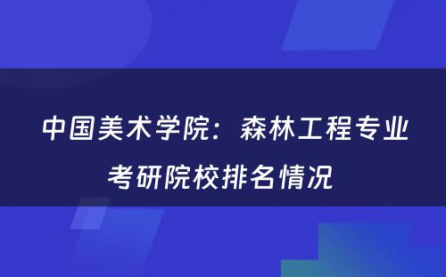 中国美术学院：森林工程专业考研院校排名情况 