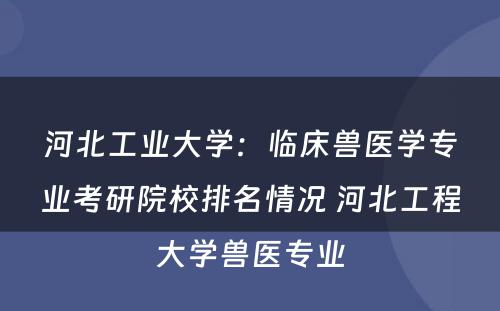 河北工业大学：临床兽医学专业考研院校排名情况 河北工程大学兽医专业