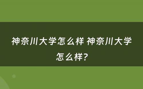 神奈川大学怎么样 神奈川大学怎么样?