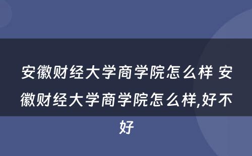 安徽财经大学商学院怎么样 安徽财经大学商学院怎么样,好不好