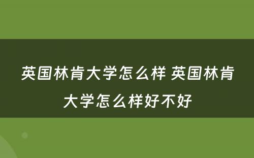 英国林肯大学怎么样 英国林肯大学怎么样好不好