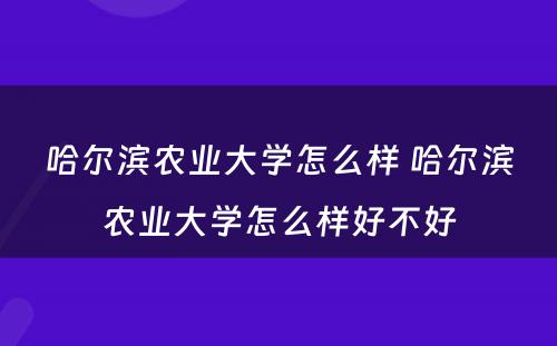 哈尔滨农业大学怎么样 哈尔滨农业大学怎么样好不好