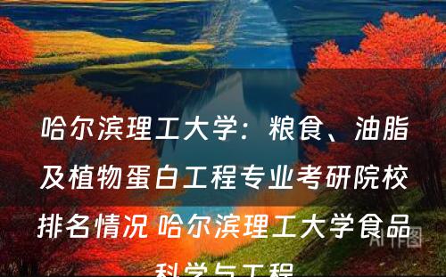 哈尔滨理工大学：粮食、油脂及植物蛋白工程专业考研院校排名情况 哈尔滨理工大学食品科学与工程