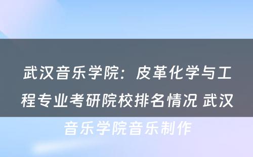武汉音乐学院：皮革化学与工程专业考研院校排名情况 武汉音乐学院音乐制作