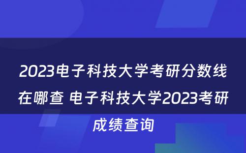 2023电子科技大学考研分数线在哪查 电子科技大学2023考研成绩查询
