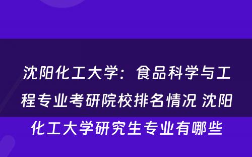 沈阳化工大学：食品科学与工程专业考研院校排名情况 沈阳化工大学研究生专业有哪些