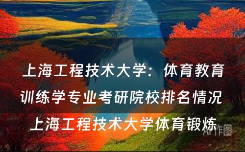 上海工程技术大学：体育教育训练学专业考研院校排名情况 上海工程技术大学体育锻炼