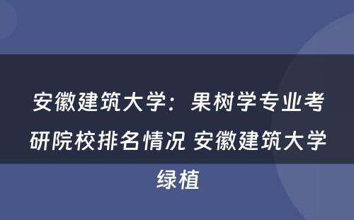 安徽建筑大学：果树学专业考研院校排名情况 安徽建筑大学绿植