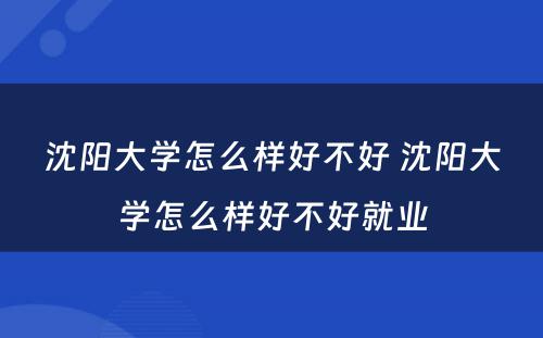 沈阳大学怎么样好不好 沈阳大学怎么样好不好就业