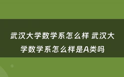 武汉大学数学系怎么样 武汉大学数学系怎么样是A类吗