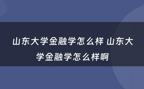 山东大学金融学怎么样 山东大学金融学怎么样啊